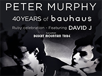 Peter Murphy & David J : Bauhuas 40th - Brixton O2, London 9.12.18